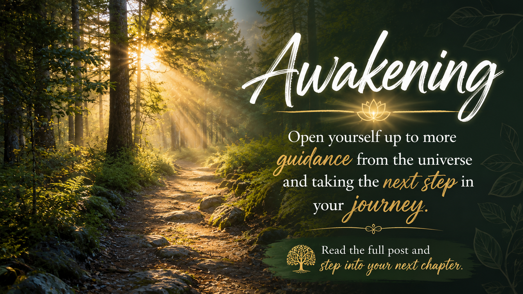 Awakening